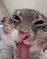 William's Special Badge badge